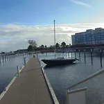 Ostseemuschel *