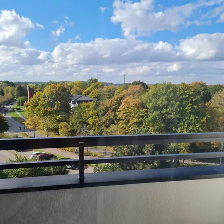 Ostseemuschel
