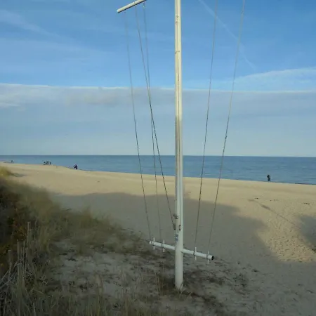 Ostseemuschel