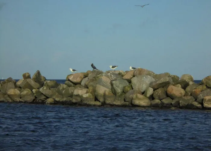 Ostseemuschel アパート ダンプ