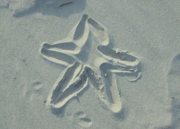 Ostseemuschel アパート *