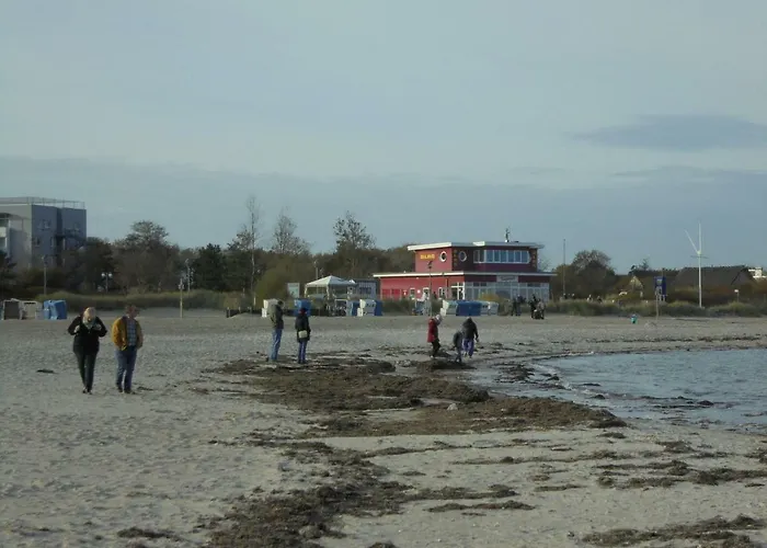 Ostseemuschel ダンプ